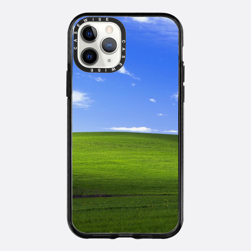 Łąka z windowsa - Etui