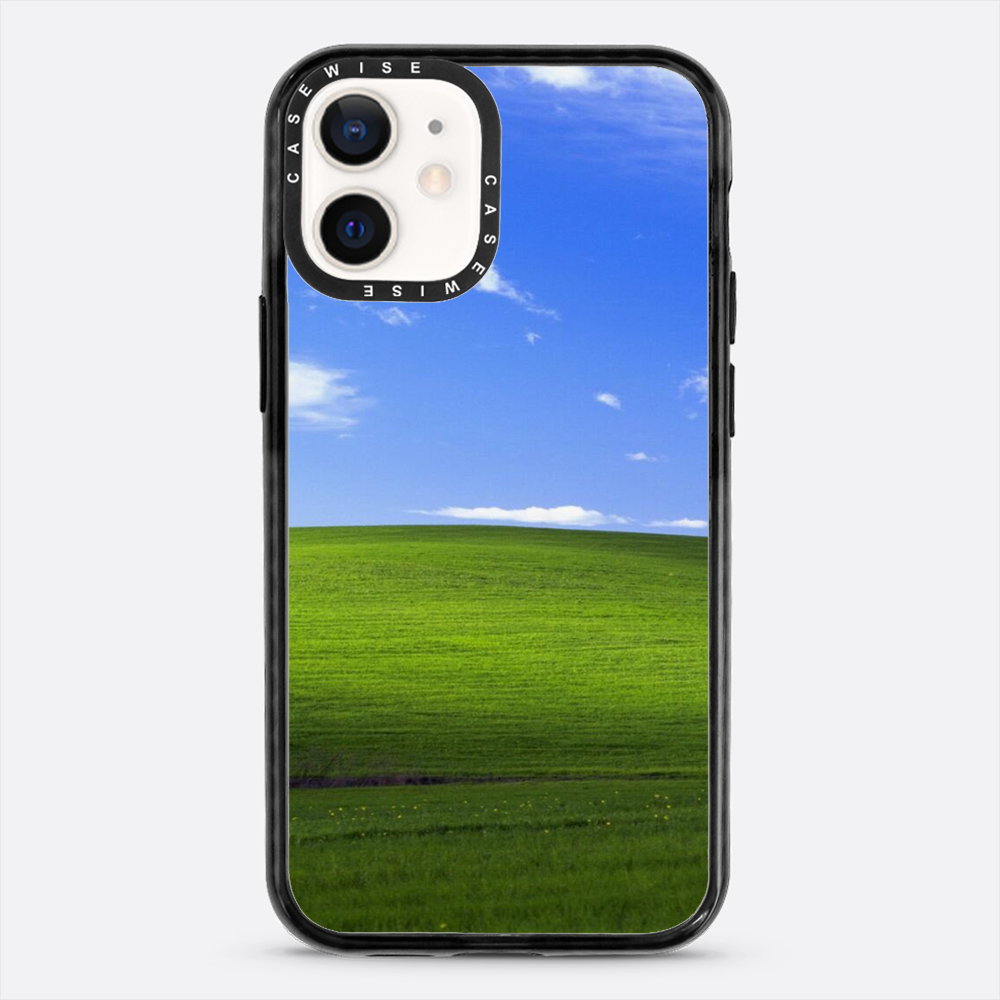 Łąka z windowsa - Etui