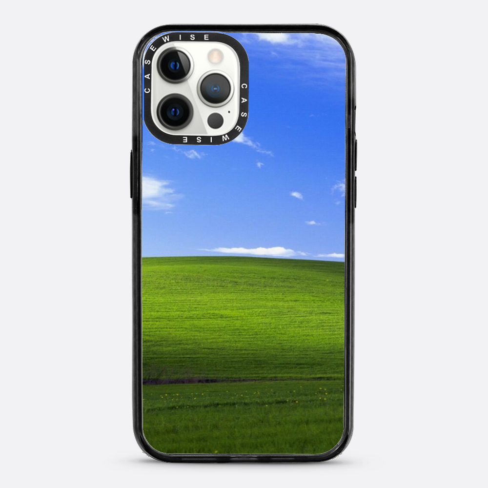 Łąka z windowsa - Etui