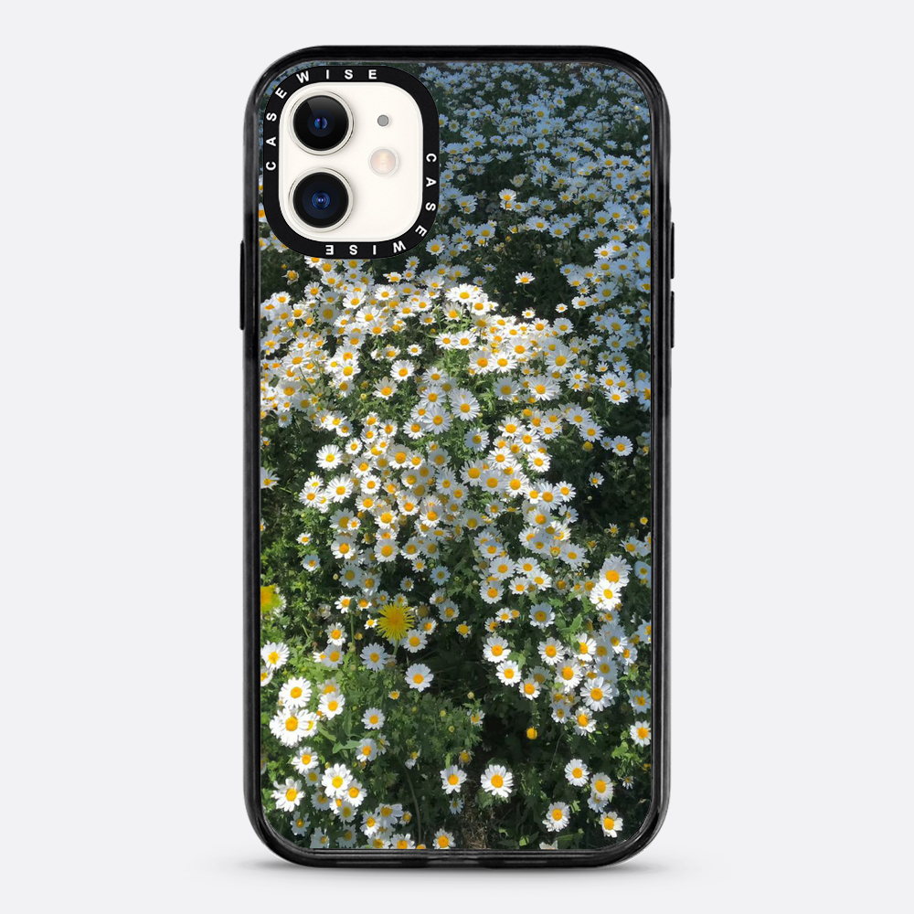 Daisy Delight - Etui