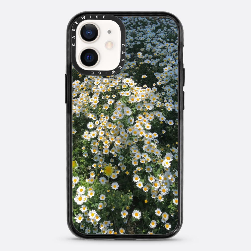 Daisy Delight - Etui