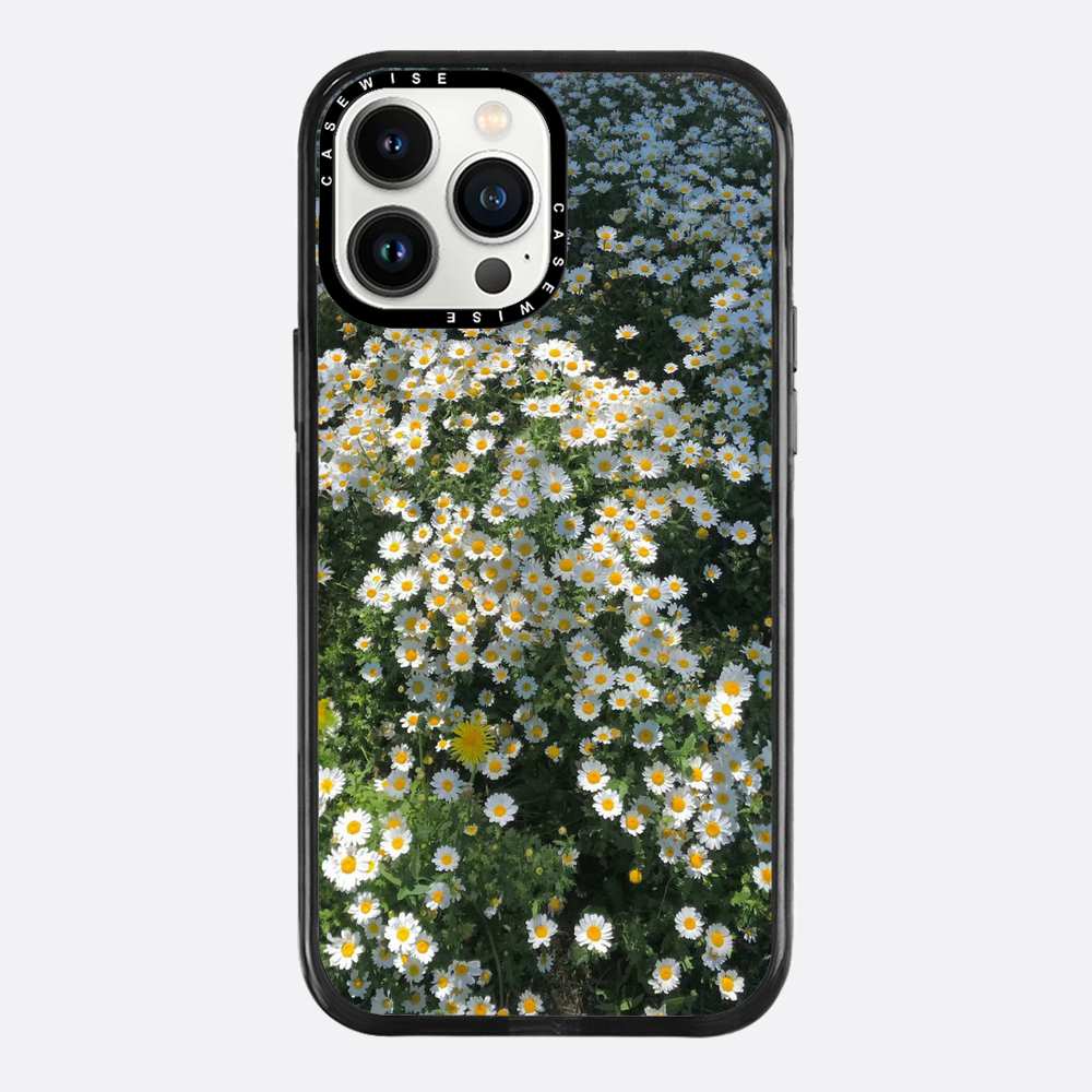 Daisy Delight - Etui