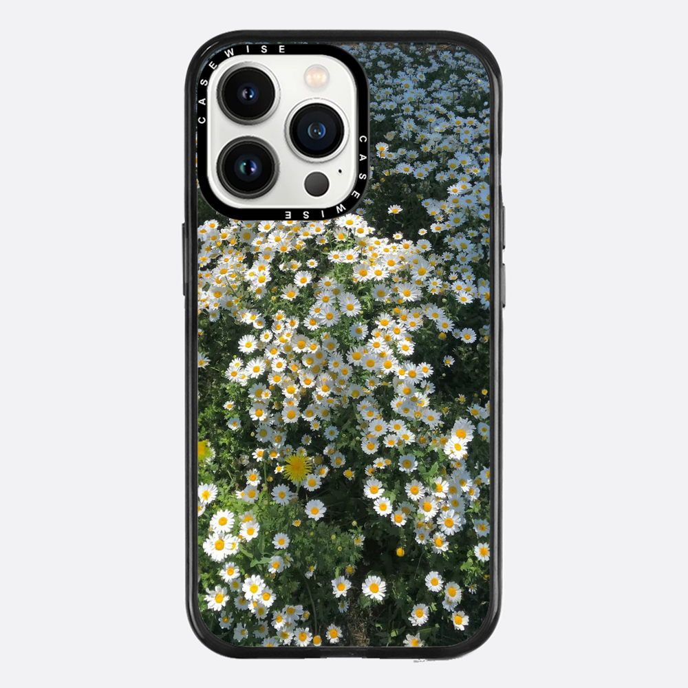 Daisy Delight - Etui
