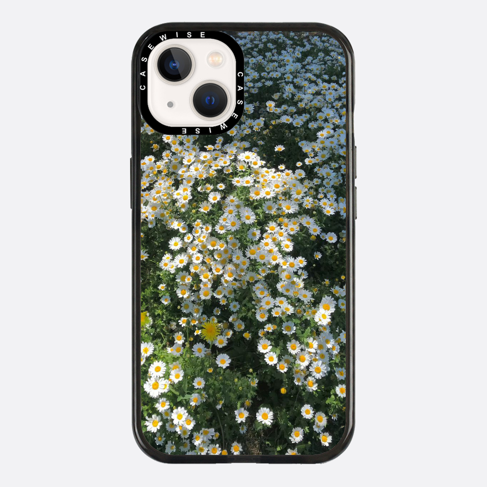Daisy Delight - Etui