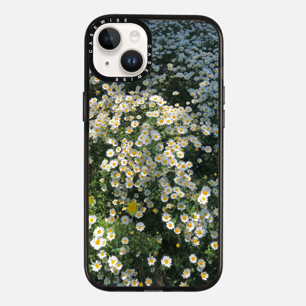 Daisy Delight - Etui