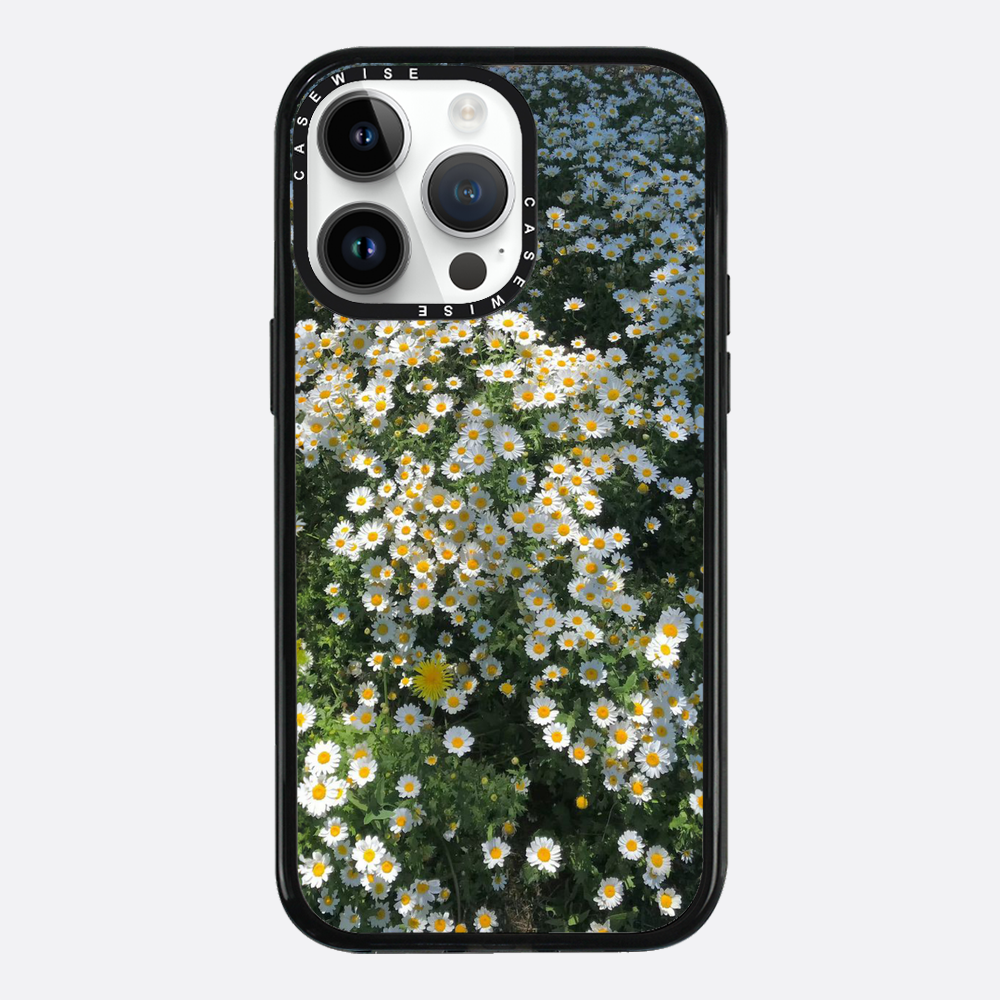Daisy Delight - Etui