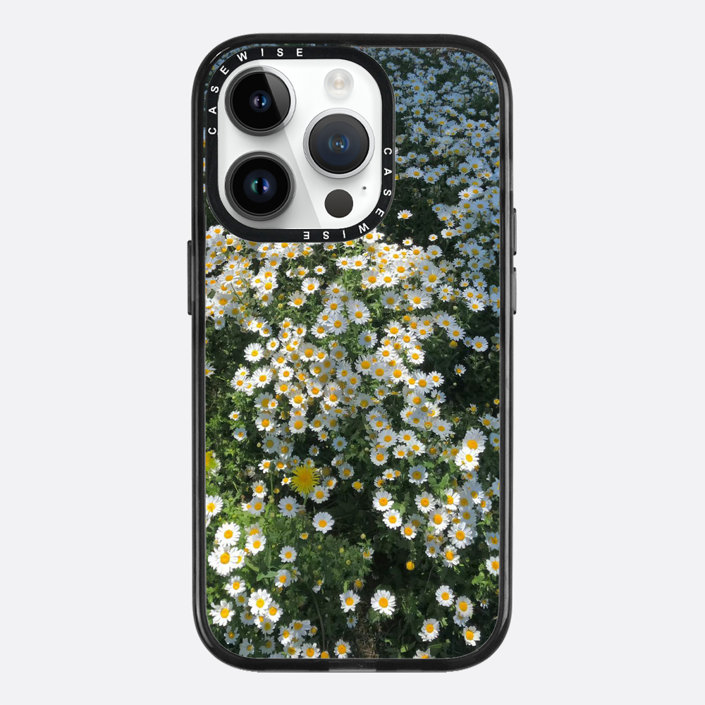 Daisy Delight - Etui