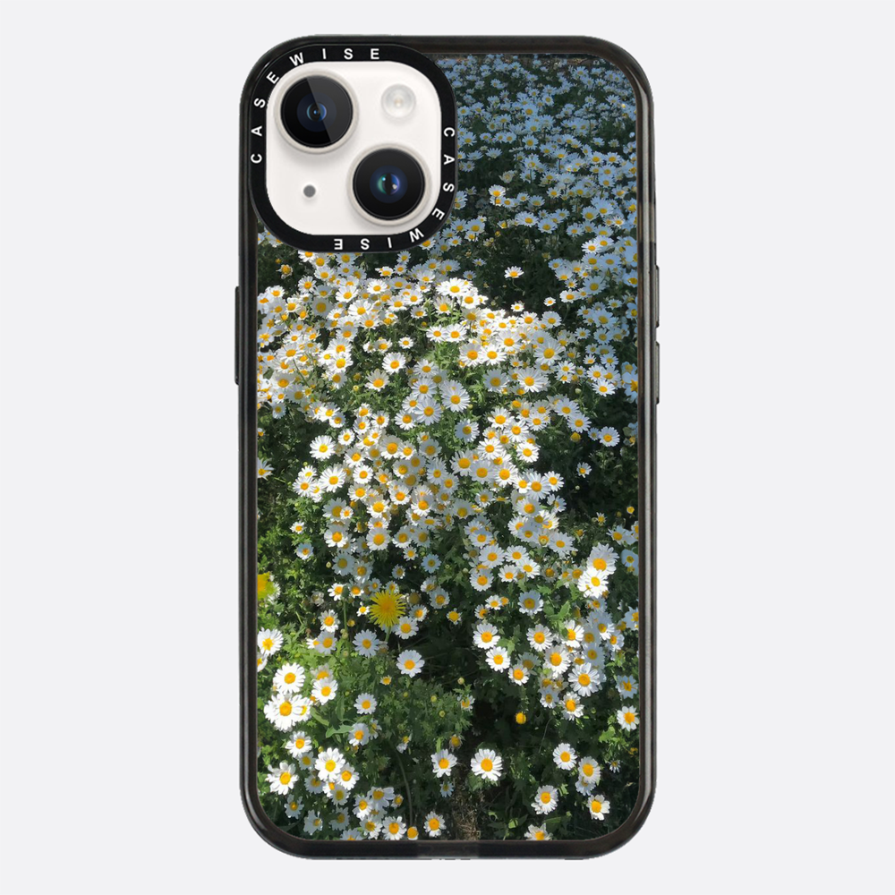 Daisy Delight - Etui