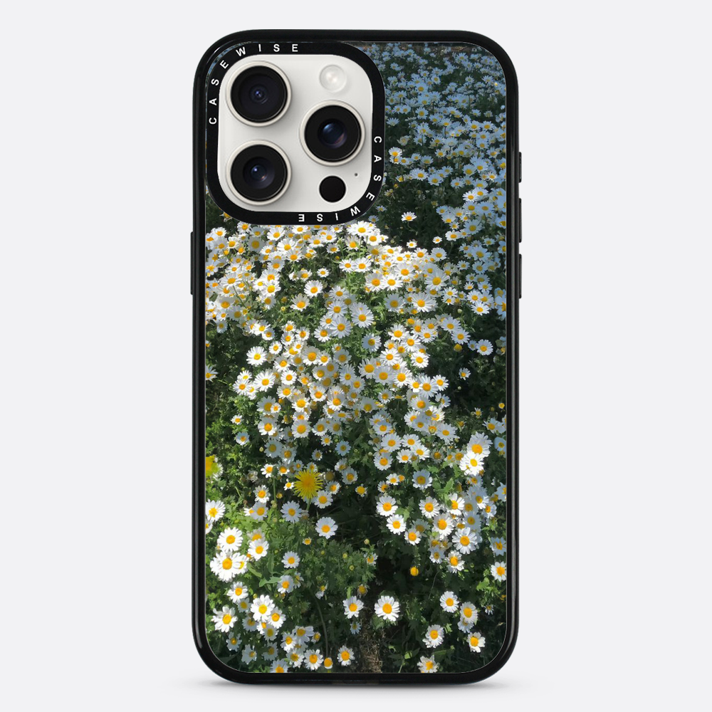 Daisy Delight - Etui
