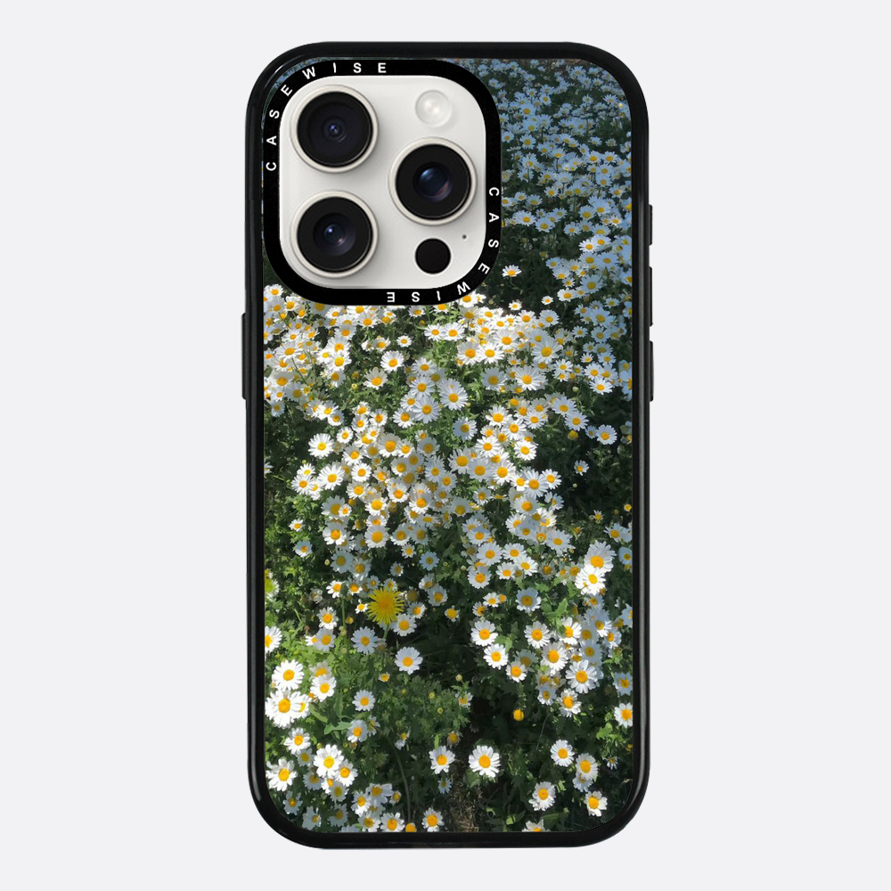 Daisy Delight - Etui