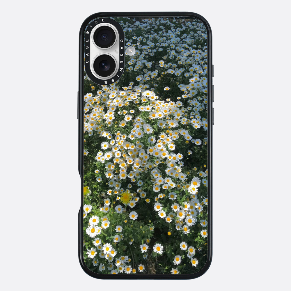 Daisy Delight - Etui