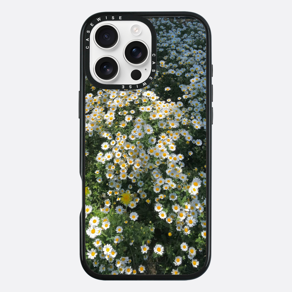 Daisy Delight - Etui