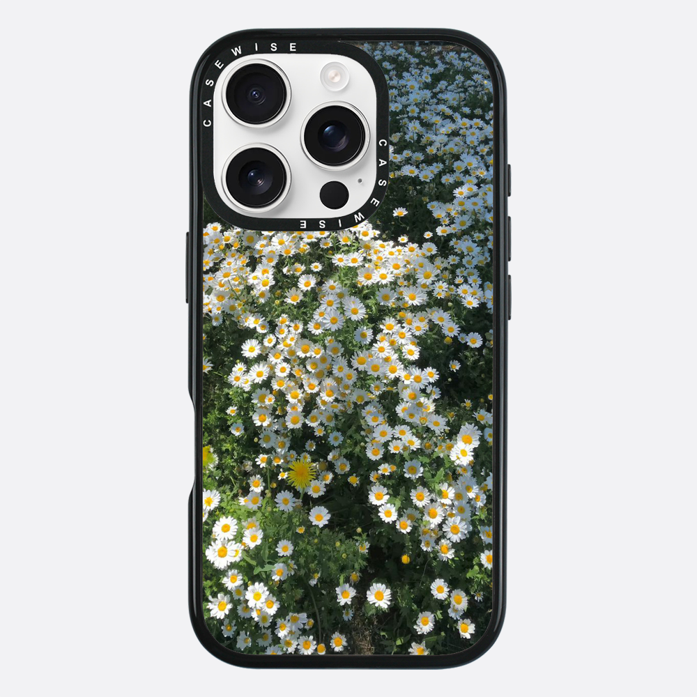 Daisy Delight - Etui