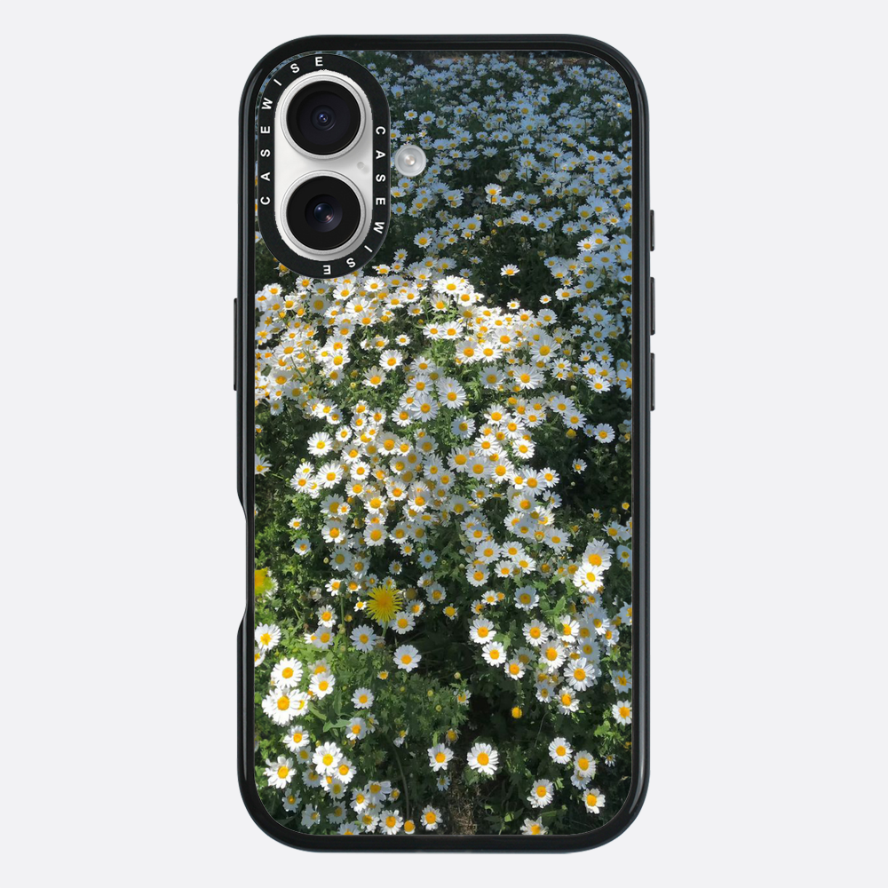 Daisy Delight - Etui