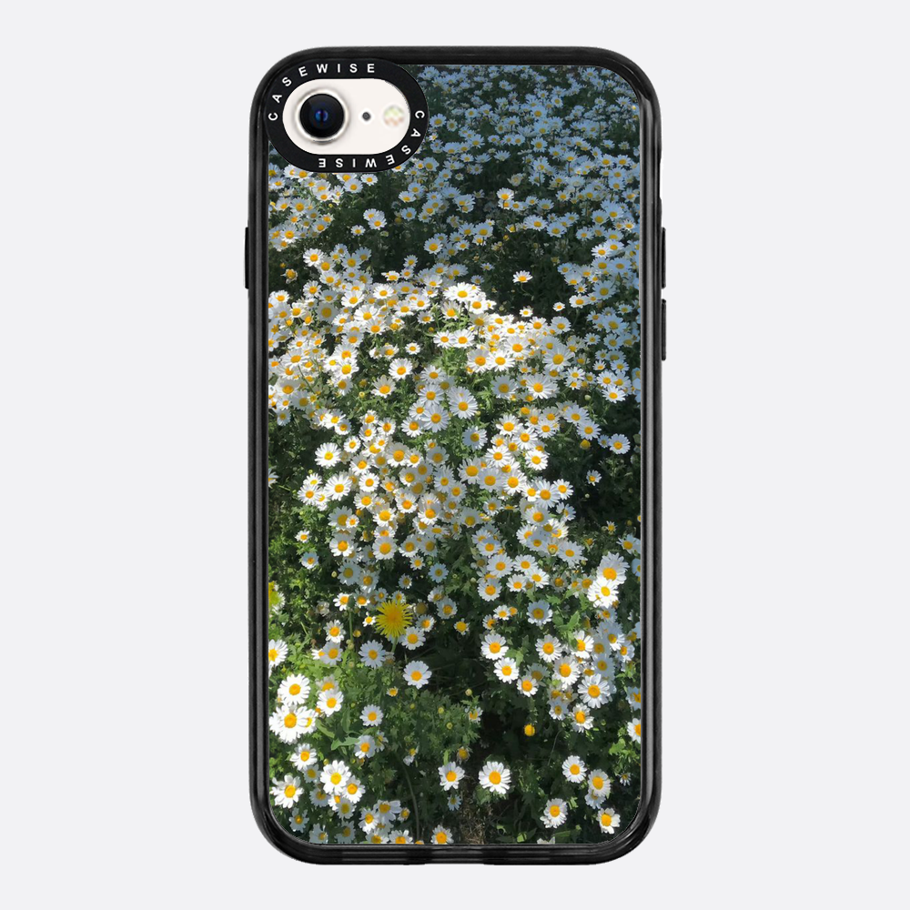 Daisy Delight - Etui