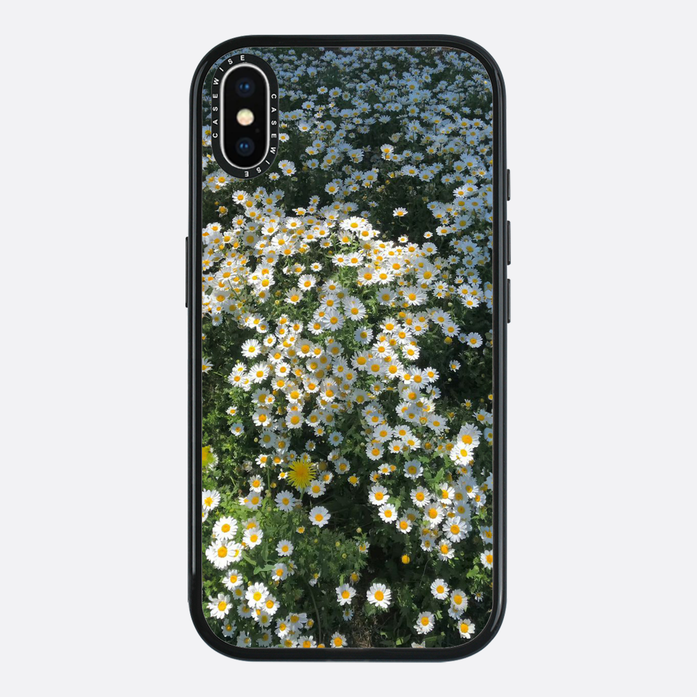 Daisy Delight - Etui