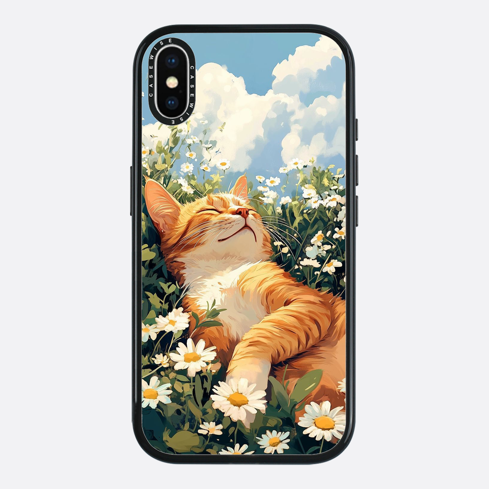 Koci Letni Chłód - Etui