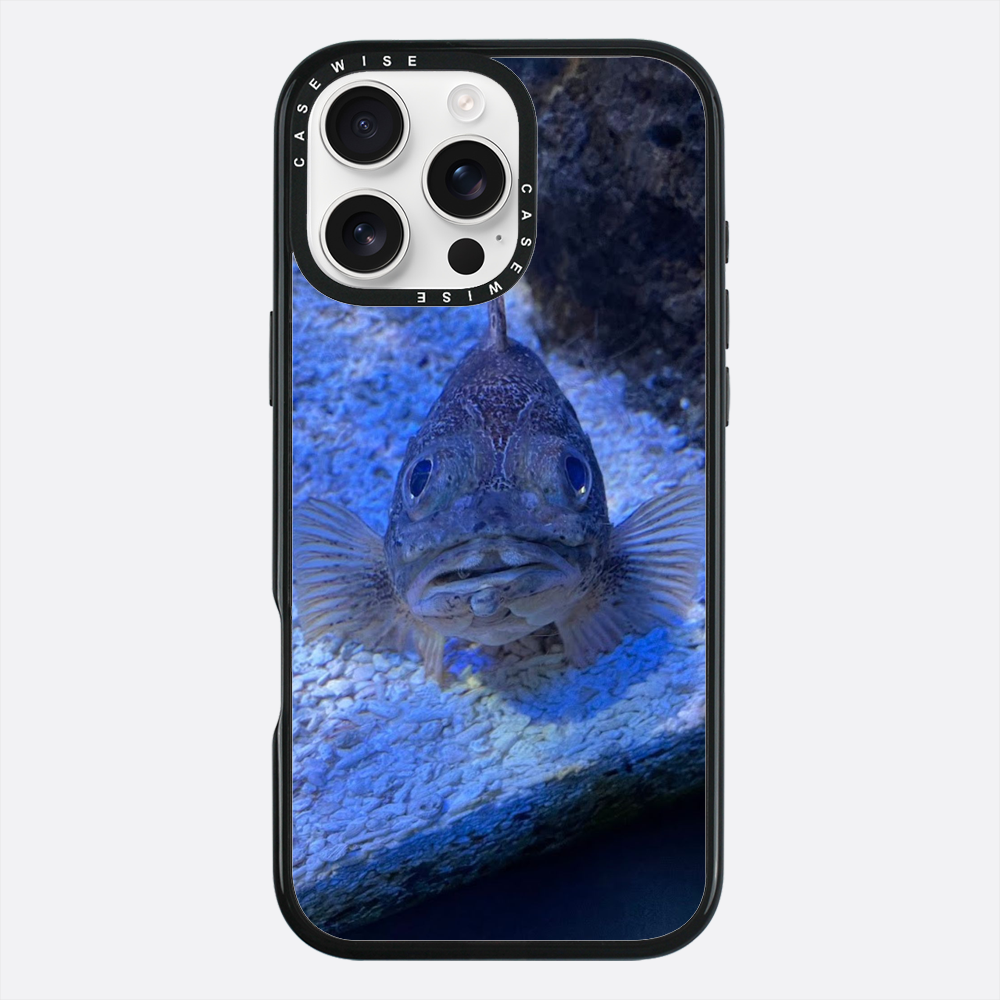 Co się gapisz? Grecja Kreta - Etui