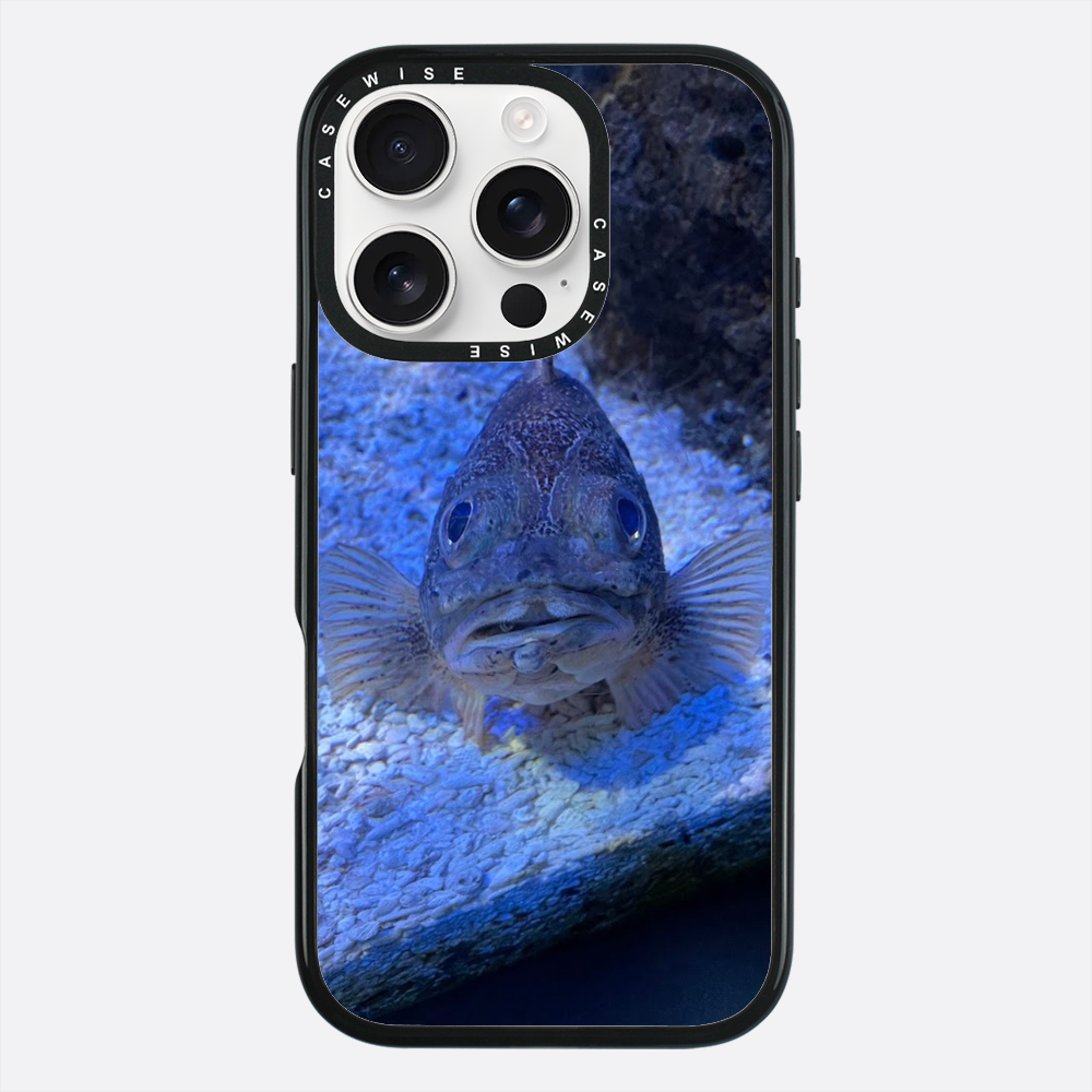 Co się gapisz? Grecja Kreta - Etui